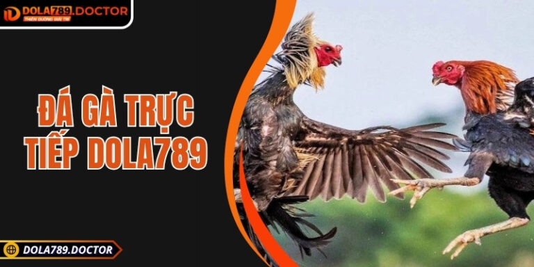 Đá gà trực tiếp DOLA789 – Trải nghiệm kịch tính và minh bạch